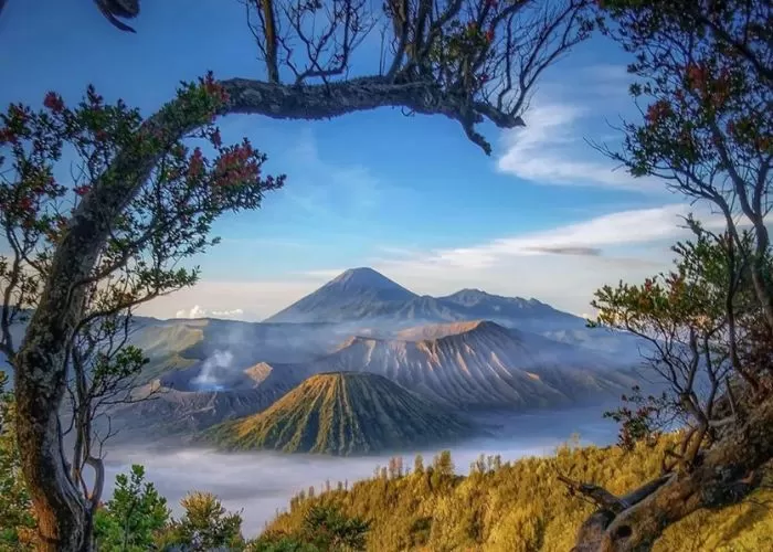 Gunung-Bromo-4212044024